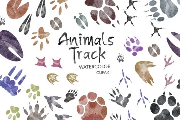 Animals Track Watercolor Clipart PNG: A Designer’s Real-World Embroidery Review