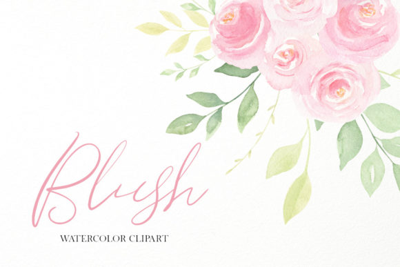 Blush Pink Roses Watercolor Clipart for Branding & Marketing Illustrations