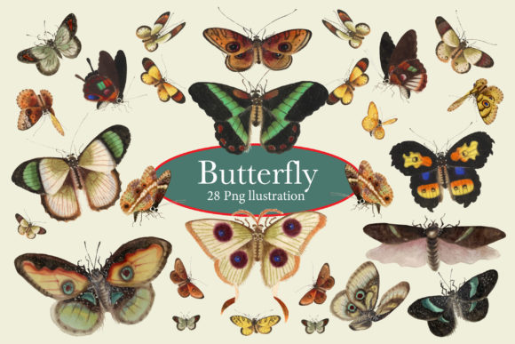Butterfly and Moth Watercolor: A Designer’s Real-World Review