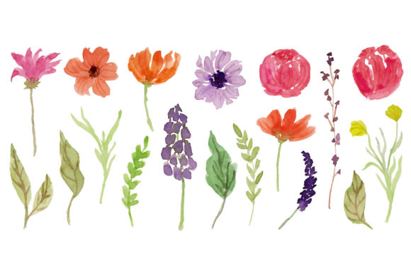 Cute Spring Flower and Leaf Watercolor Illustrations for Fresh Branding