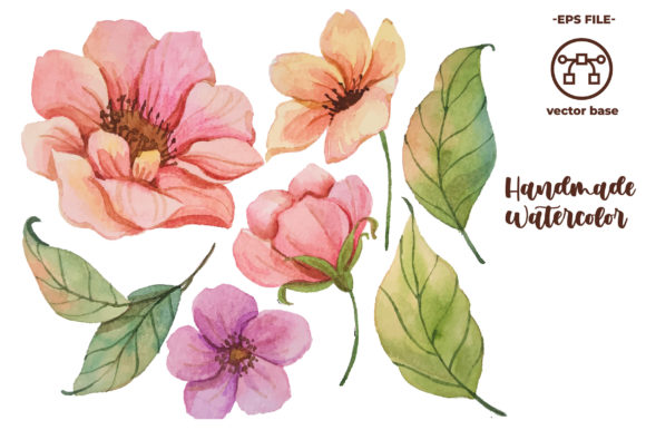 Flower Watercolor Elements: Soft, Organic Illustrations for Local Branding and Packaging