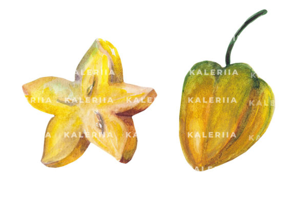 Hand Drawn Watercolor Juicy Carambole Illustrations for Creative Sellers