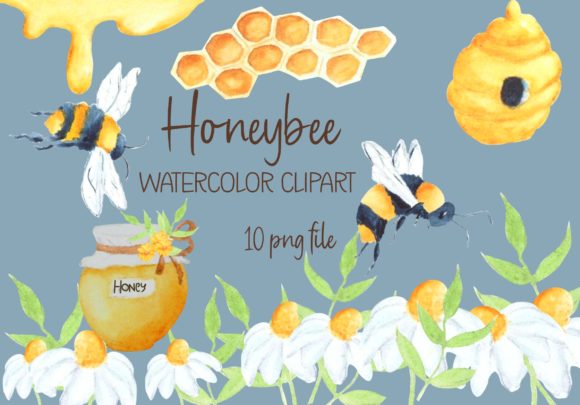 Honey Bee Watercolor Illustrations: A Brand Designer’s Review for Marketing and Visual Content