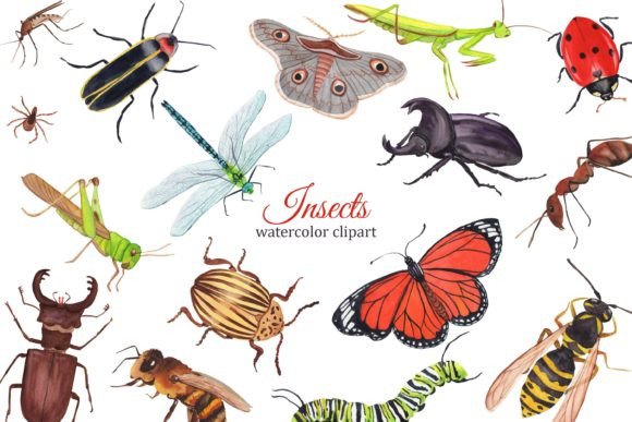 Insects Watercolor Clipart: A Fresh Editorial Illustration for Blog & Content Design