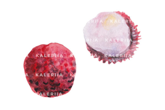 Lichee - Tropical Watercolor Fruits Set for Crafters & Etsy Sellers