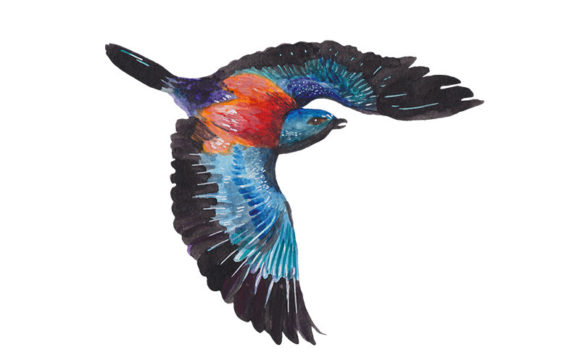 Realistic Flying Bird in Watercolor Illustrations for Modern Brand Storytelling