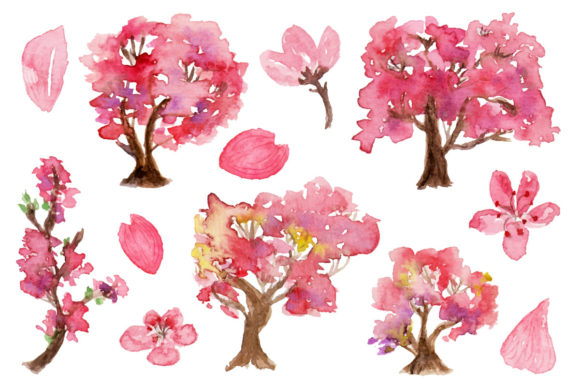 Sakura Cherry Blossom Trees Watercolor Illustrations for Crafting