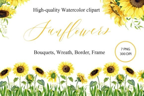 Sunflower Bouquet Watercolor Fram Png for Illustrations & Digital Selling