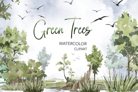Trees Watercolor Clipart & Forest Illustrations for Branding and Creative Design Projects