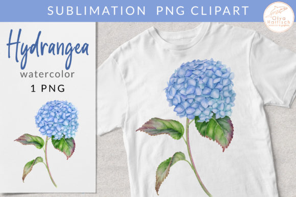 Watercolor Blue Hydrangea for Embroidery Projects