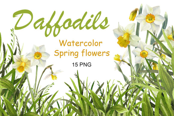 Watercolor Daffodil Flower Clipart: A Designer’s Real-World Review for Branding and Visual Projects