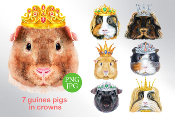 Watercolor Guinea Pigs in Crowns: A Charming Illustration for Bloggers & Digital Publishers