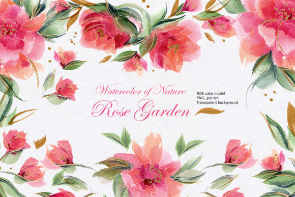 Watercolor of Nature • Rose Garden Illustrations for Local Branding