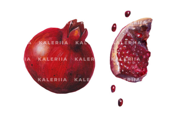 Watercolor Pomegranate Fruits Set: A Soft, Organic Illustration for Artisan Branding
