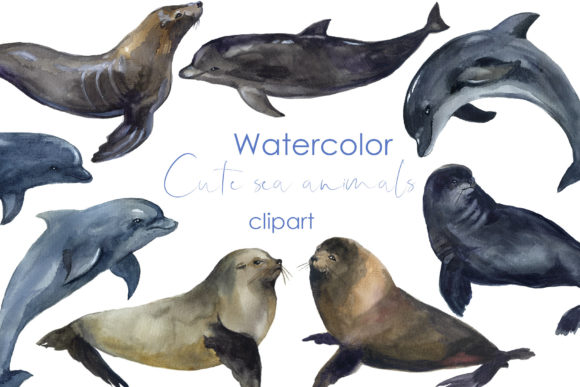 Watercolor Sea Animals Clipart: Dolphins Bring Coastal Charm to Local Branding