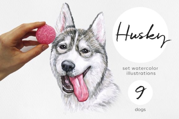 Watercolor Set Dog Siberian Husky: A Designer’s Honest Review for Real Embroidery Use