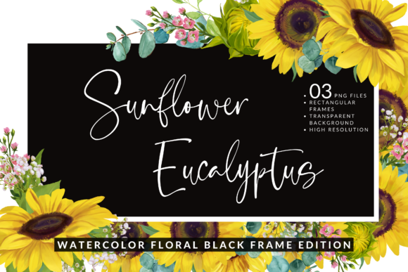 Watercolor Sunflower Eucalyptus Frames – A Fresh Illustration for Local Branding