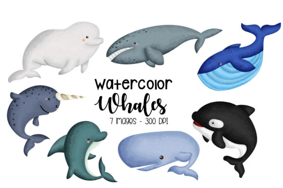 Watercolor Whale Type Clipart: A Niche Illustration for Creative Sellers